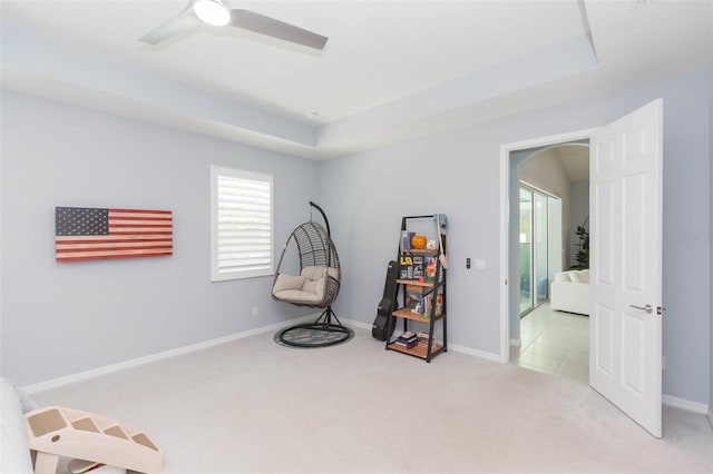 miscellaneous room featuring a raised ceiling and light colored carpet