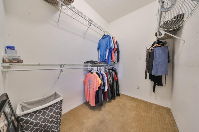 spacious closet featuring light colored carpet