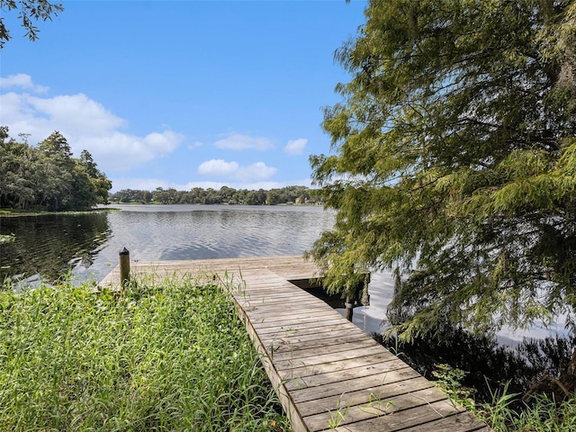 view of dock with a water view