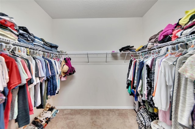 spacious closet featuring light colored carpet