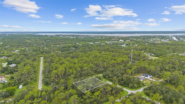1184 Dickerson St, Port Charlotte, FL 33953 - photo 2