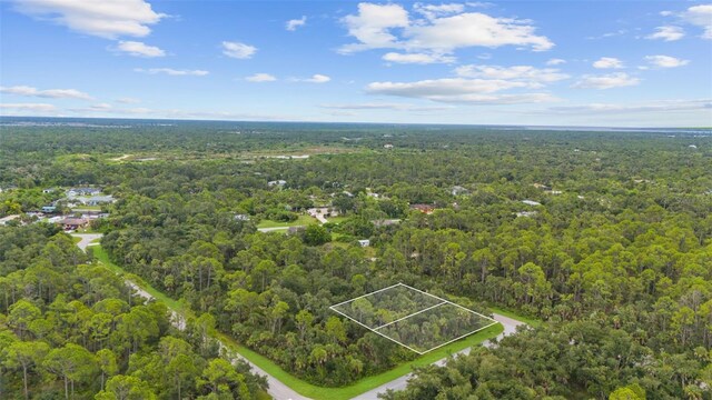 1184 Dickerson St, Port Charlotte, FL 33953 - photo 3