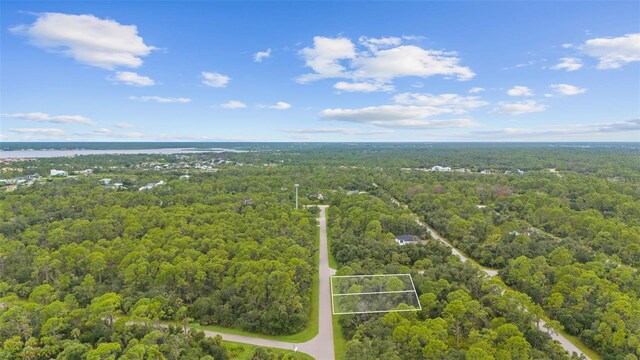 1184 Dickerson St, Port Charlotte, FL 33953 - photo 4