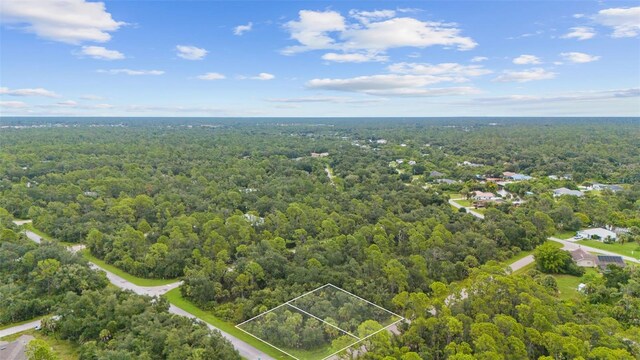 1184 Dickerson St, Port Charlotte, FL 33953 - photo 6