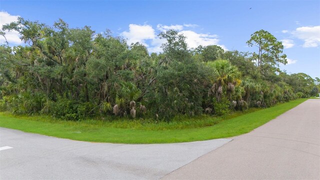 1184 Dickerson St, Port Charlotte, FL 33953 - photo 9