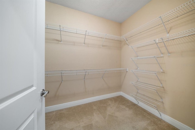 1030 Bellasol Way Unit 201, Apollo Beach, FL 33572 - spacious closet with carpet floors