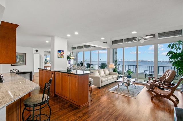 living room featuring a water view, ceiling fan, and dark hardwood / wood-style flooring