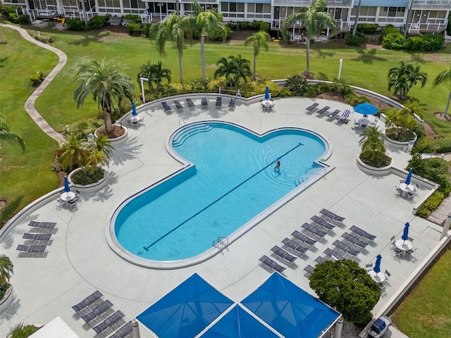 view of swimming pool featuring a yard and a patio area