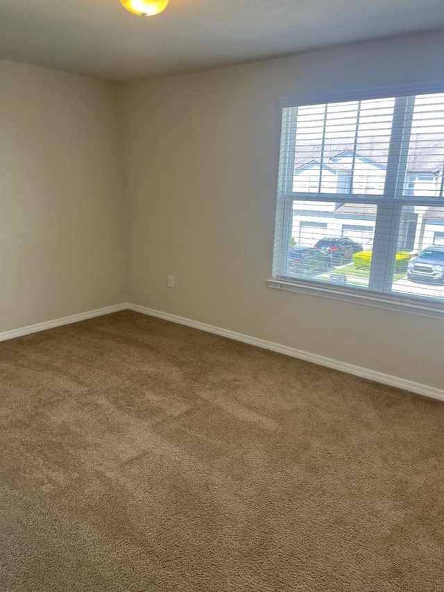 unfurnished room with carpet flooring and a wealth of natural light