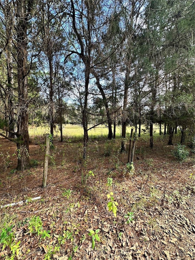 17025 Dalberg Dr, Spring Hill, FL 34610 - view of undeveloped land