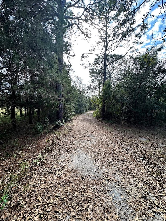 view of road