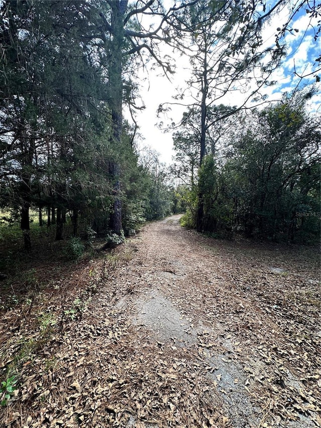 17025 Dalberg Dr, Spring Hill, FL 34610 - view of street with a wooded view