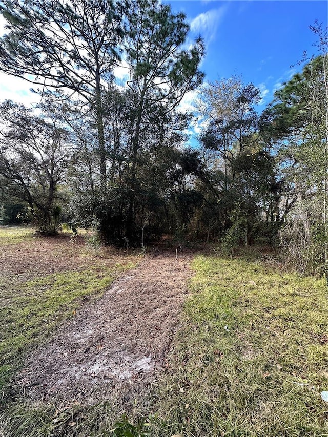 17025 Dalberg Dr, Spring Hill, FL 34610 - view of street