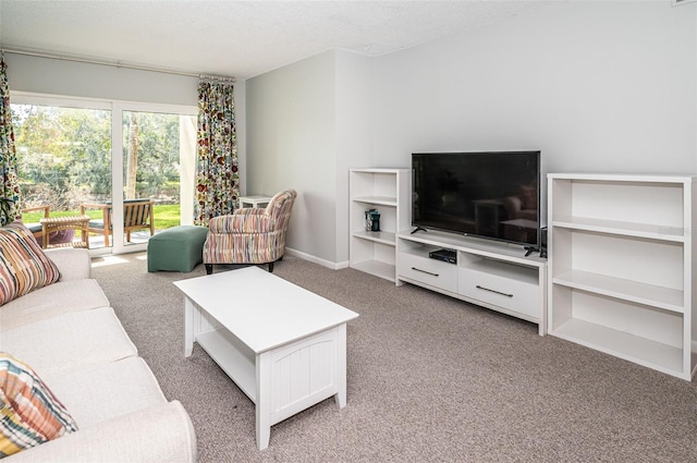 1450 Heather Ridge Blvd Unit 107, Dunedin, FL 34698 - living room with light carpet, a textured ceiling, and baseboards
