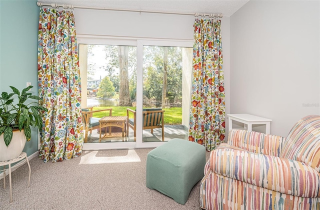 sitting room featuring a textured ceiling and carpet flooring