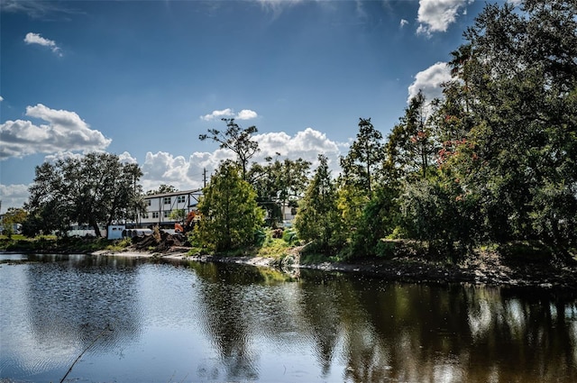 1450 Heather Ridge Blvd Unit 107, Dunedin, FL 34698 - water view