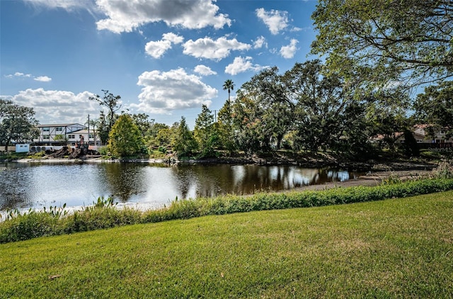 1450 Heather Ridge Blvd Unit 107, Dunedin, FL 34698 - water view