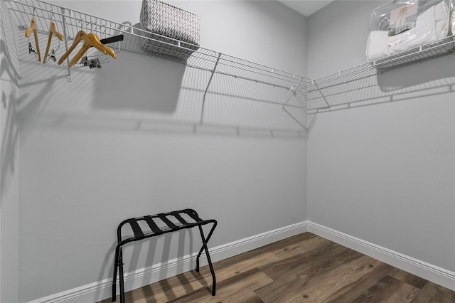 16451 Strauss Ave, Port Charlotte, FL 33954 - walk in closet featuring dark wood-type flooring