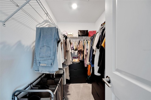 spacious closet with carpet