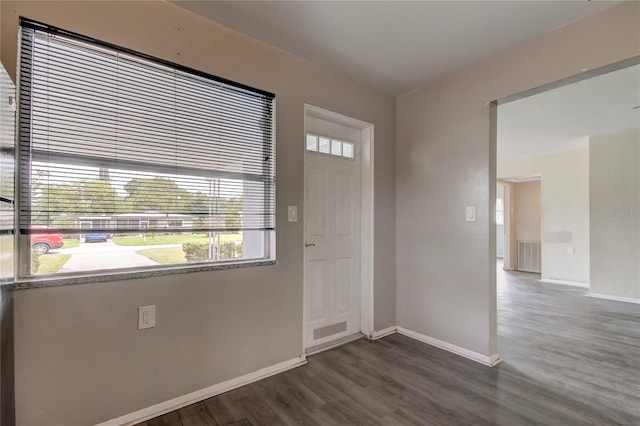 foyer entrance featuring dark hardwood / wood-style flooring