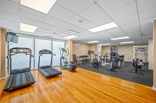 exercise room with hardwood / wood-style flooring and a drop ceiling