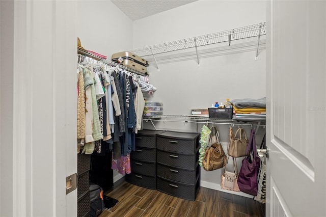 spacious closet featuring dark hardwood / wood-style flooring