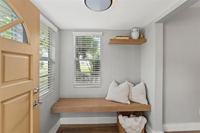 mudroom featuring dark wood-type flooring and a wealth of natural light