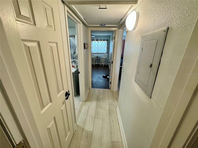 hallway featuring electric panel and light hardwood / wood-style floors