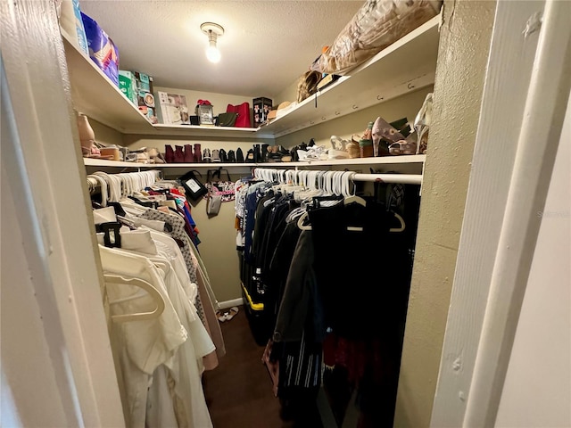 view of walk in closet