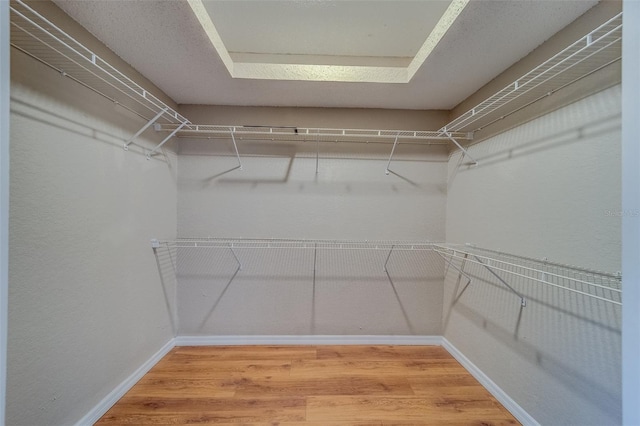 spacious closet with hardwood / wood-style floors