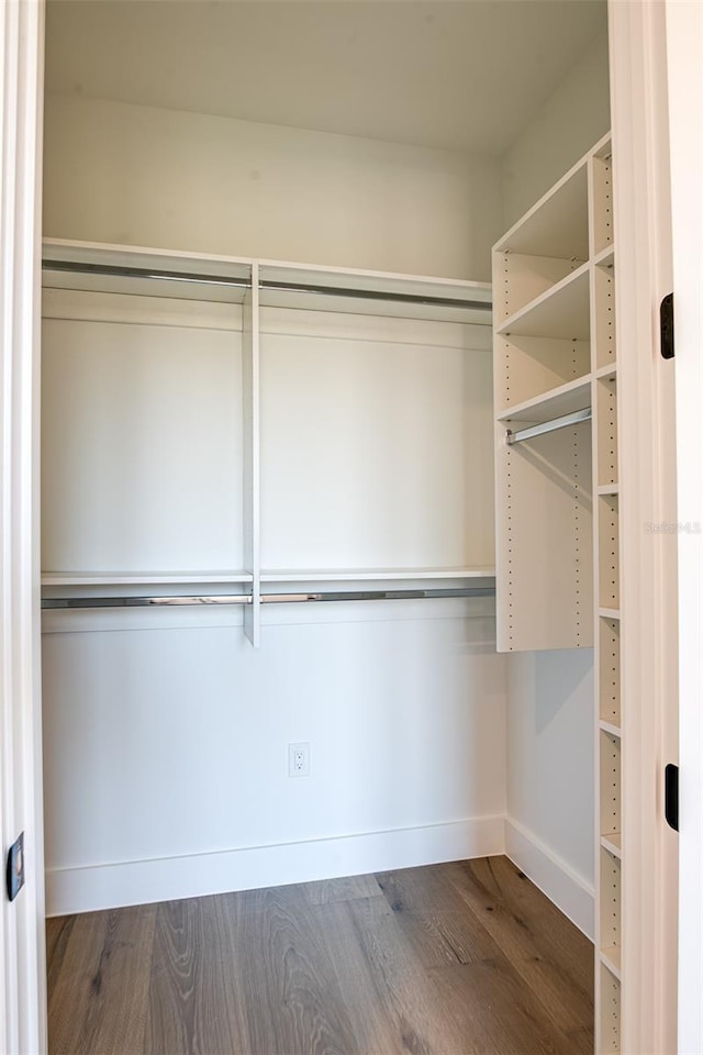 walk in closet with hardwood / wood-style floors