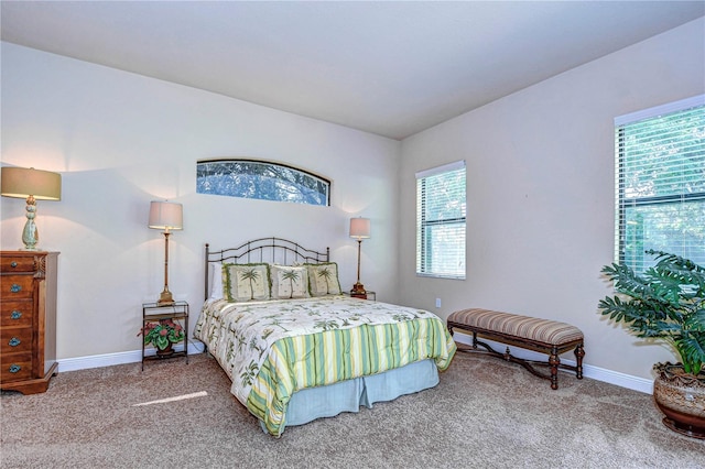 bedroom with carpet and multiple windows