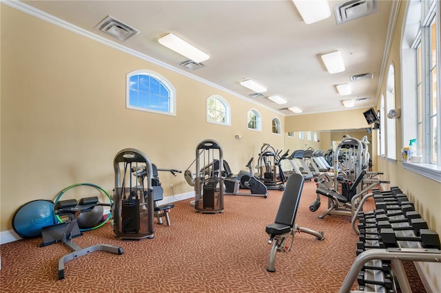 gym with a wealth of natural light, crown molding, and carpet