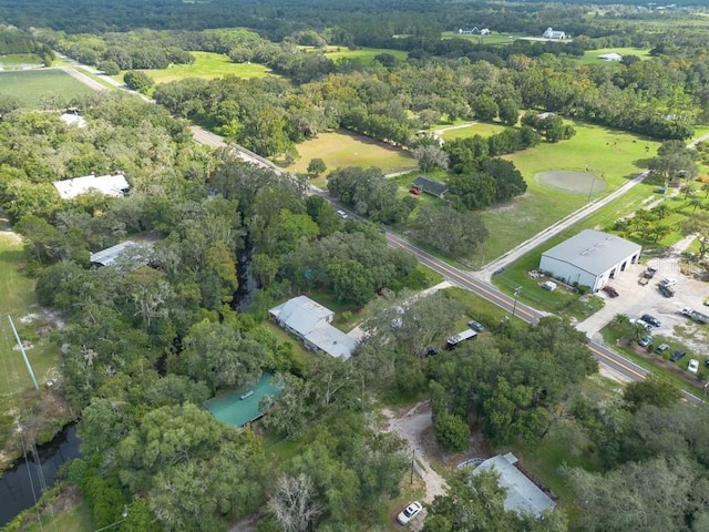 bird's eye view with a view of trees