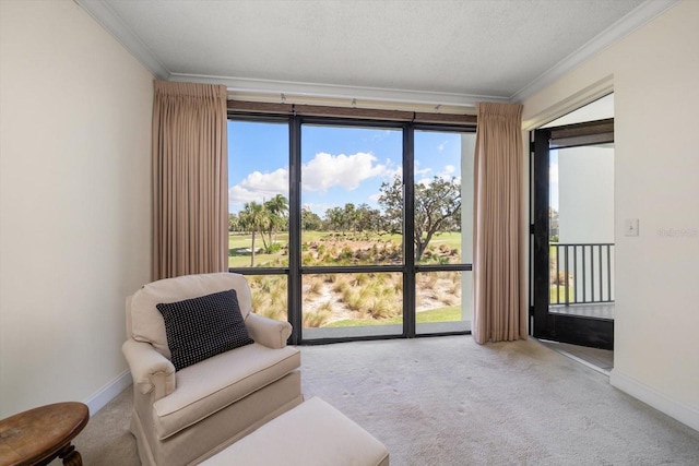 sitting room with a healthy amount of sunlight, a textured ceiling, and light colored carpet