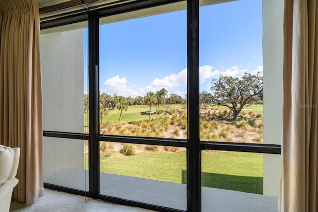 doorway to outside with carpet and a healthy amount of sunlight