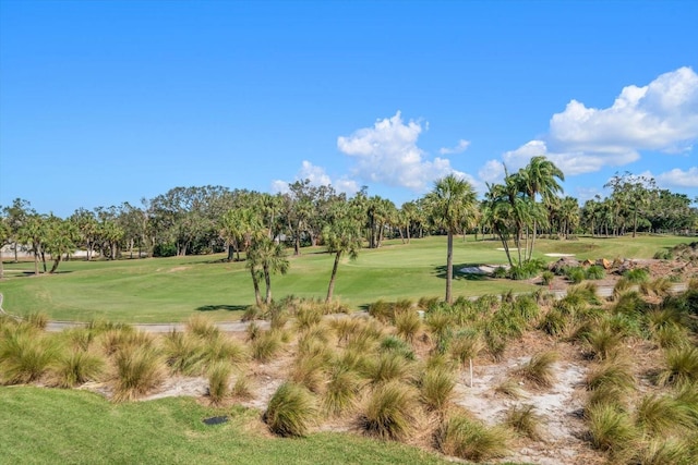 50 Coe Rd Unit 322, Belleair, FL 33756 - photo 32