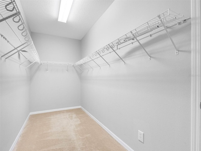 12820 Belvedere Song Way, Riverview, FL 33578 - walk in closet with carpet