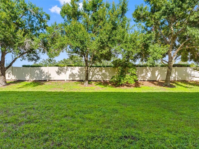 12820 Belvedere Song Way, Riverview, FL 33578 - view of yard