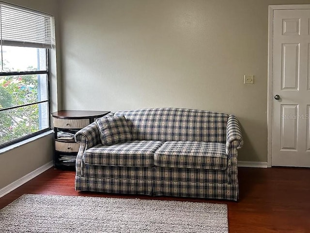 sitting room featuring dark hardwood / wood-style floors