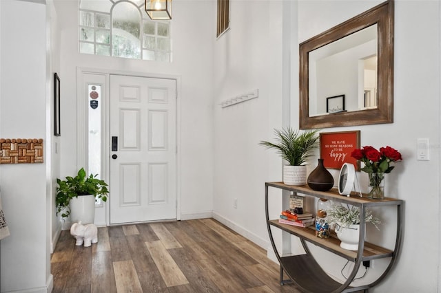 foyer entrance featuring hardwood / wood-style floors