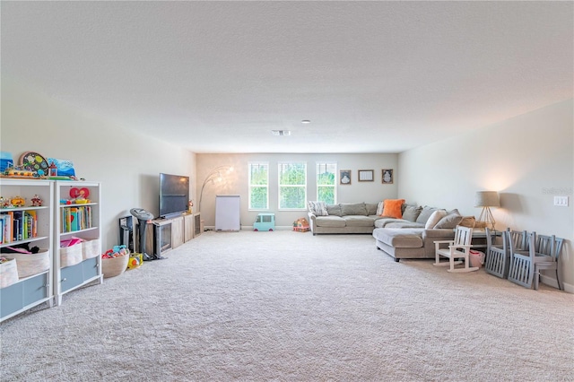 carpeted living room featuring a textured ceiling