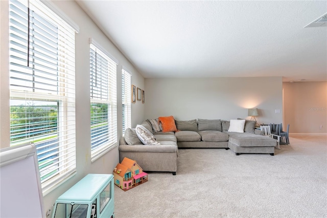 living room featuring carpet