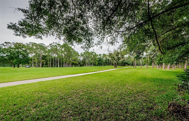 view of home's community with a yard