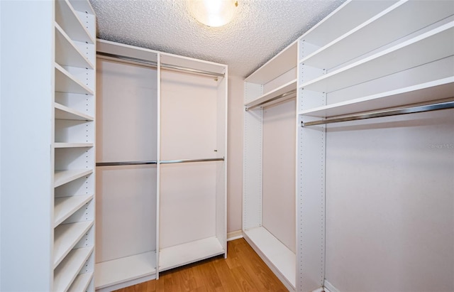 spacious closet with light hardwood / wood-style flooring