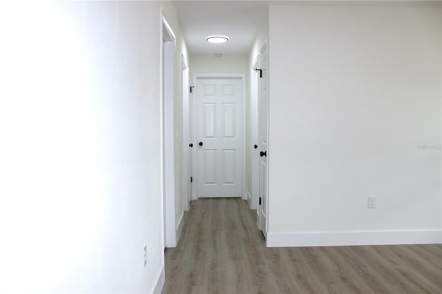 9085 Dorsey St, Spring Hill, FL 34608 - hall with light wood-style floors and baseboards
