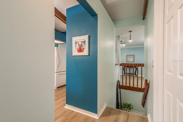 hall with ornamental molding and light hardwood / wood-style floors