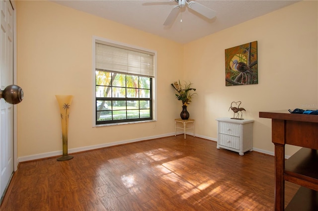 unfurnished office with ceiling fan and hardwood / wood-style floors