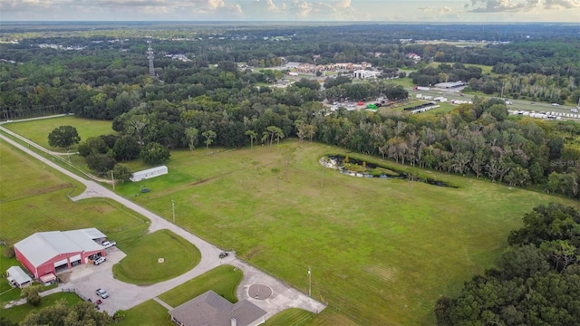 1440 Duff Rd, Lakeland, FL 33810 - bird's eye view of a forest