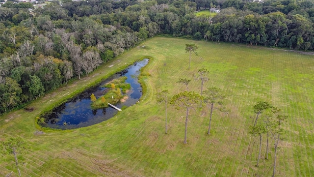 drone / aerial view with a water view and a rural view